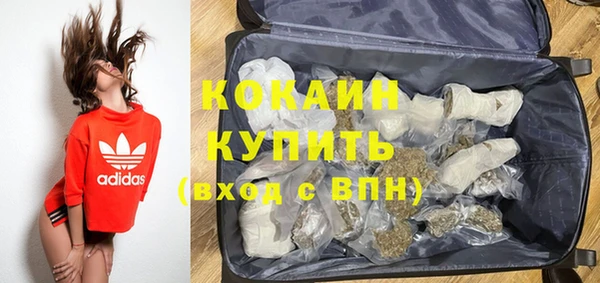 шишки Майский