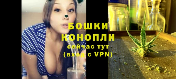 шишки Майский